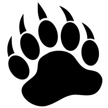 NextGen Bears